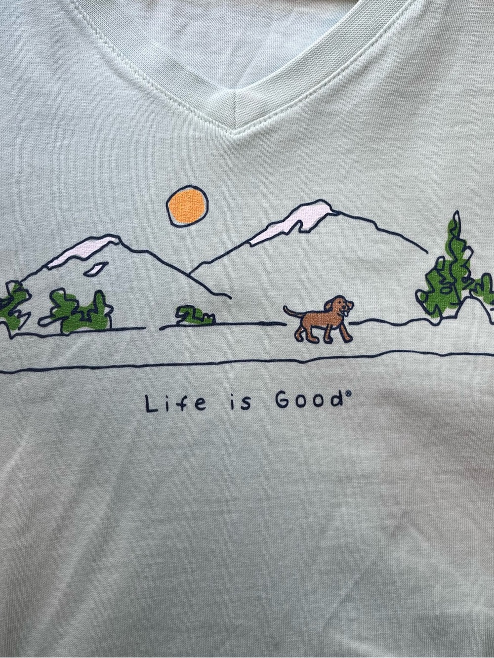 Life Is Good Light Green V-Neck Tee with Mountain & Dog Graphic